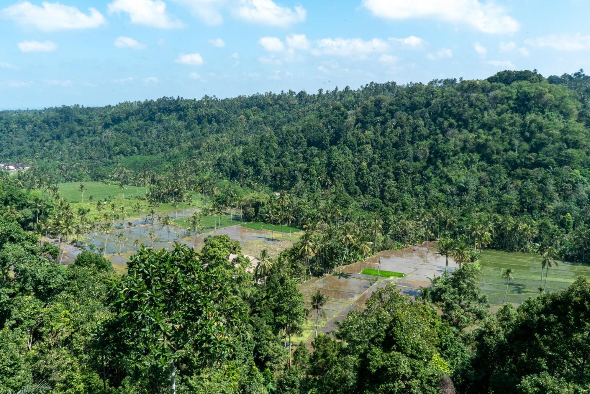 Отель Domisili Ijen Cliff By Fays Hospitality Баньюванги Экстерьер фото